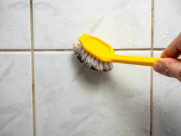 Best Local Mold Removal Service  in Pierz, MN